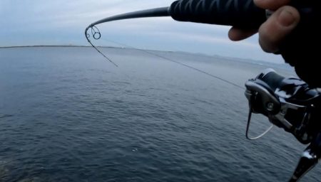 今日は縦の釣り🎣