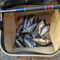 高活性！短時間で満足の小物釣り