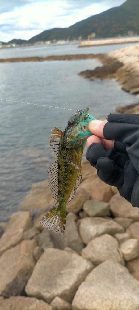 釣りキャンプのはずが。。