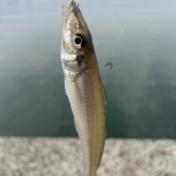 ★★キスまだまだ入れ食い中★★