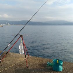 いつもの田ノ浦へ