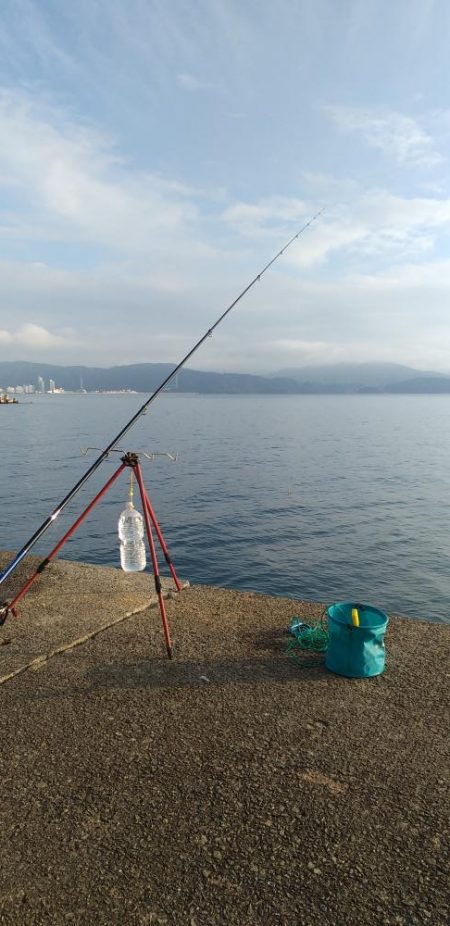 いつもの田ノ浦へ