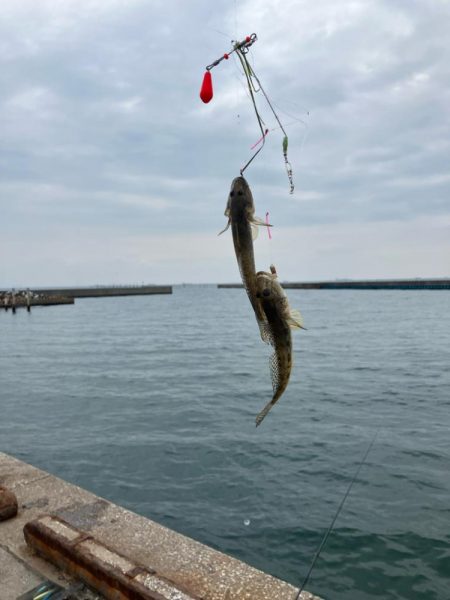 40年ぶりのハゼ釣り٩( ‘ω’ )و