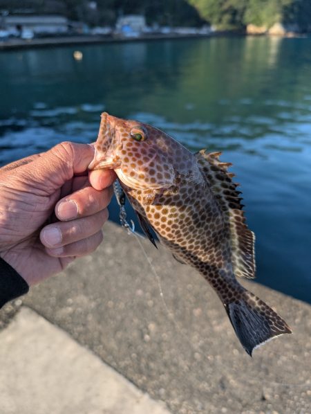 陸っぱり釣行記