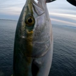 今日は縦の釣り🎣