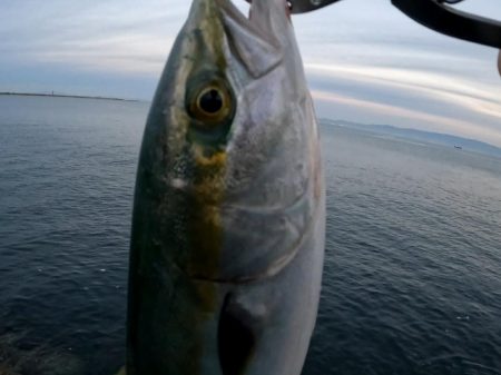 今日は縦の釣り🎣