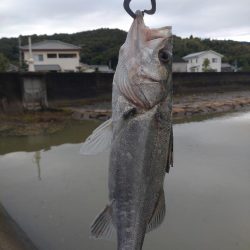 雨後小規模河川で