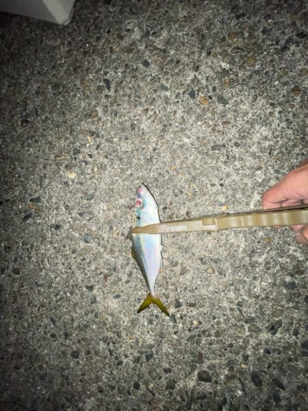 食材確保の為に