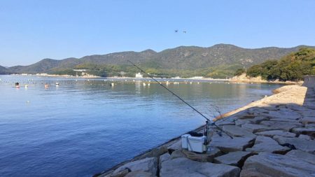 室津のキス釣り