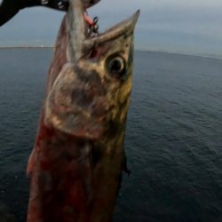 今日は縦の釣り🎣