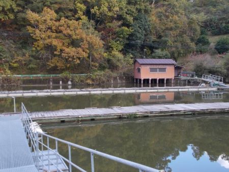 隠れ谷池（管理釣り場　橋本市）　ヘラブナ釣り　６枚