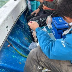 明石からノマセ釣り