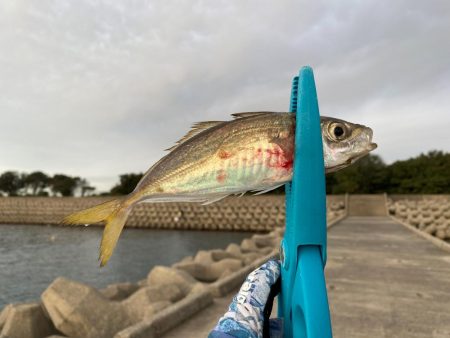 灘浜フカセ釣り