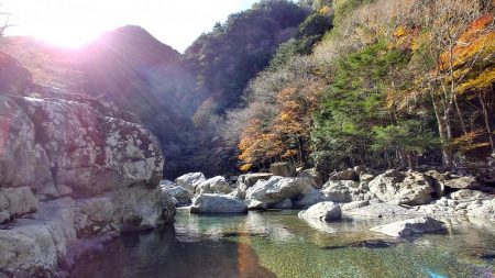 天川管理釣り場にて大型ニジマス