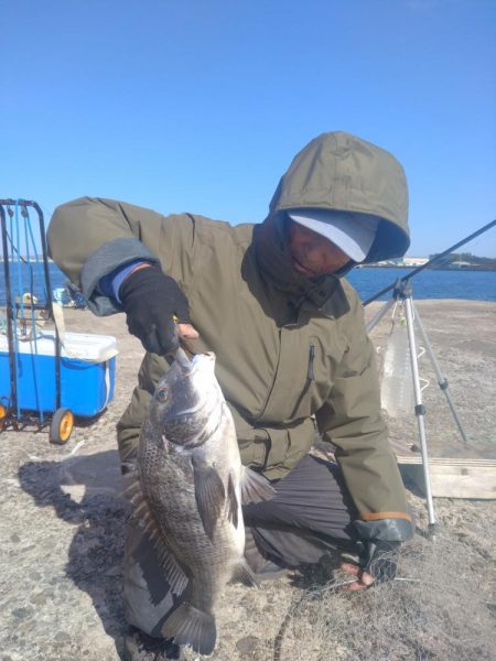 播磨新島の落ちギス釣査