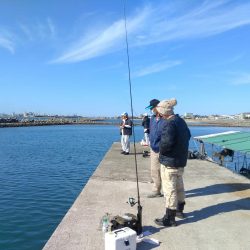 魚住漁港の落ちキス調査