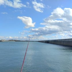 東二見でハゼ釣り