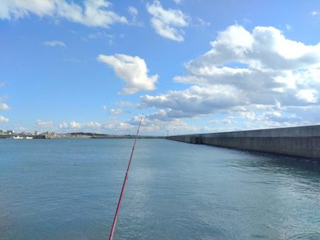 東二見でハゼ釣り