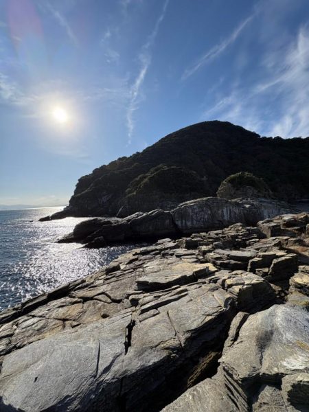 高島 松バエ