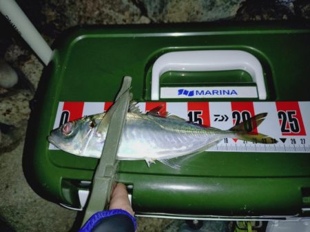 激シブ釣行🎣