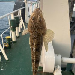 大在沖でルアー釣り