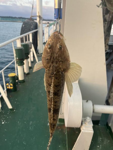 大在沖でルアー釣り