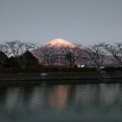 今年最後の釣りは？