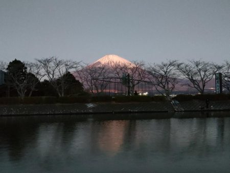 今年最後の釣りは？