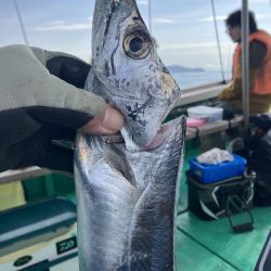 泉州丸さんで太刀魚