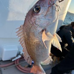 今年の釣り納めはいい感じでしたー