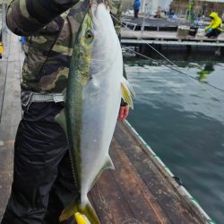 釣堀　オーパ　簡単　青物　マハタ　タイ