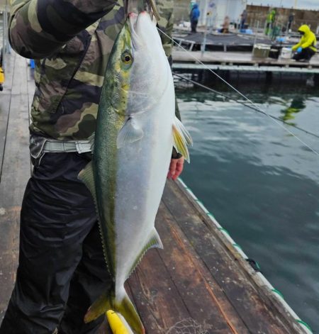 釣堀　オーパ　簡単　青物　マハタ　タイ