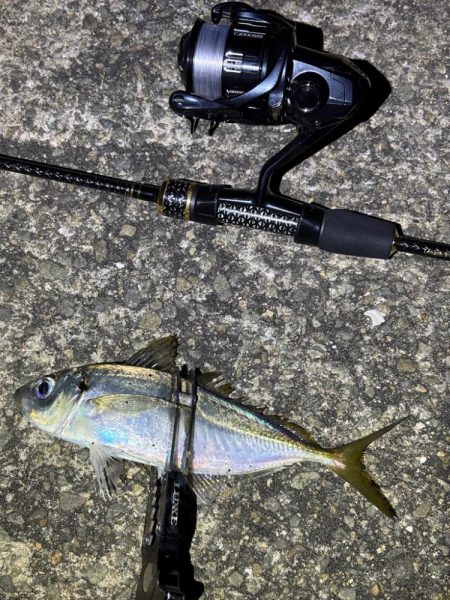 大阪アジングまだまだ釣れます