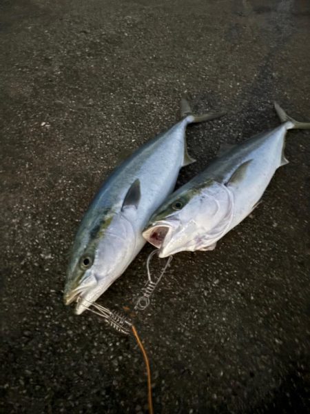 釣り納め