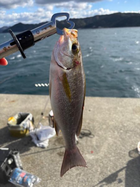 釣り納め 小浦一文字