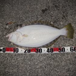 2024年　釣納め