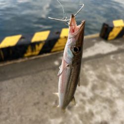 ★★釣れ過ぎて楽し過ぎ★★