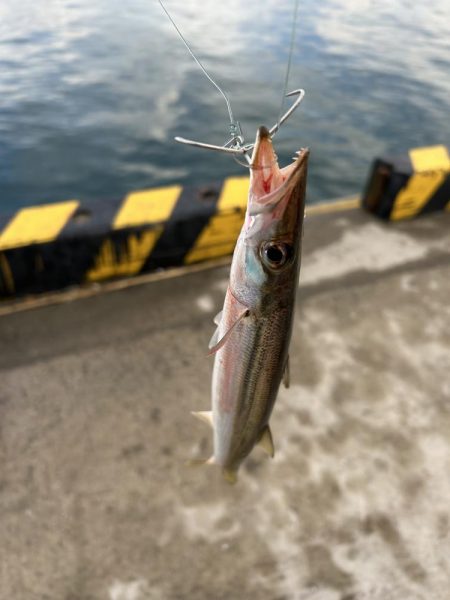 ★★釣れ過ぎて楽し過ぎ★★