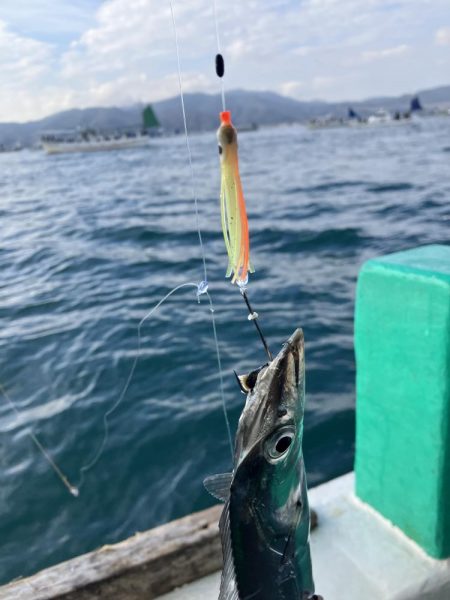 泉州丸さんで太刀魚