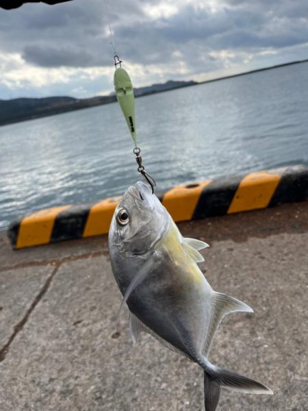 メッキしか釣れません。