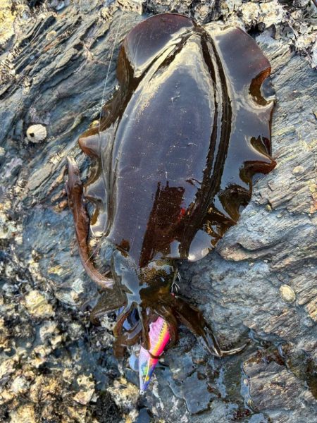 爆風、爆荒れエギング