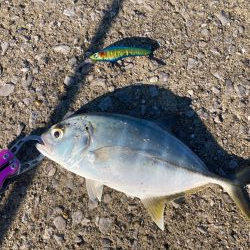 ちょこっと釣行