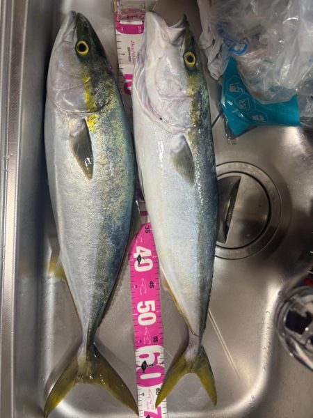 釣り納め