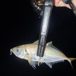 釣り納め