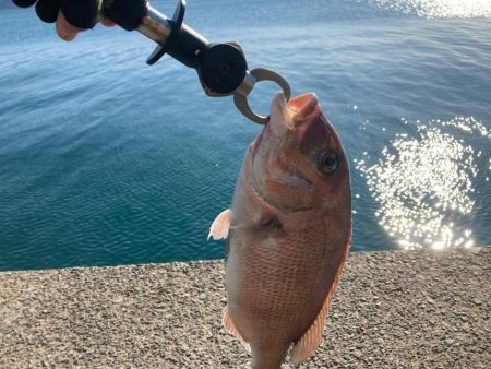 冬の遠投カゴ釣り