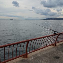 平磯海釣り公園へ