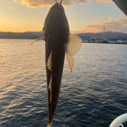 大在沖でルアー釣り