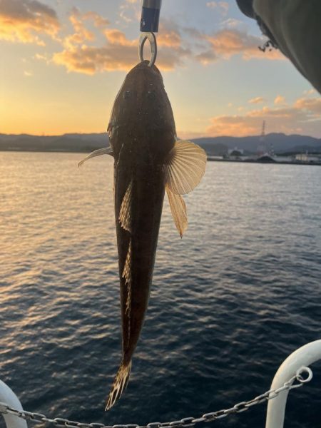 大在沖でルアー釣り