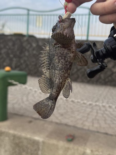 穴釣り巡り