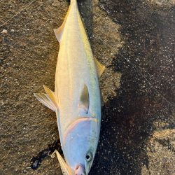 釣り納め